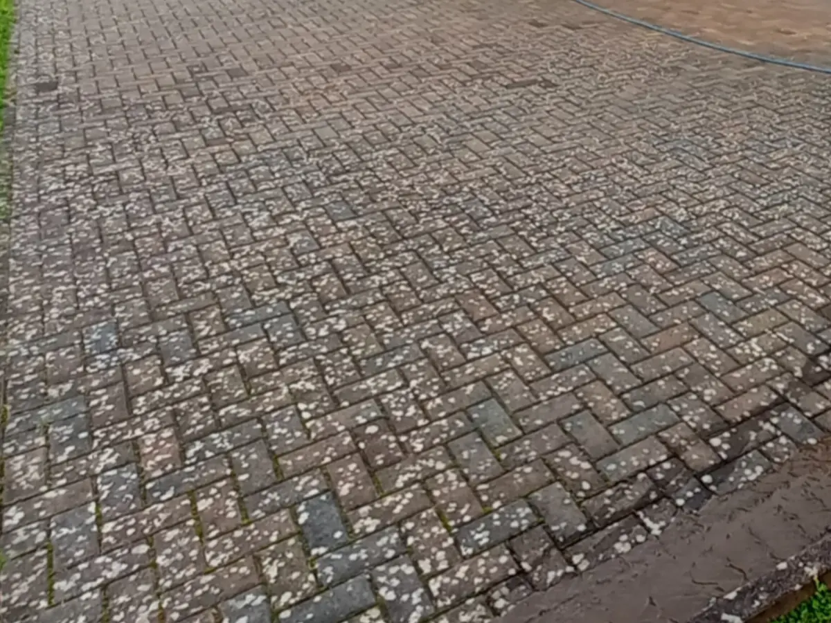Vorher: Große Einfahrt aus Betonpflaster im Fischgrätverband, dicht mit hellen Flechtenflecken übersät, die Fugen sind grün belegt, am rechten Rand grenzt eine Asphaltfläche an